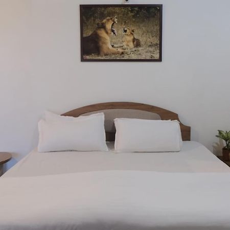 Hotel Ashirwad Junagadh Buitenkant foto
